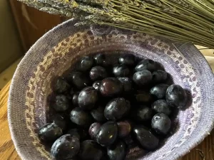 Black Olives Organic Large Sevillano for Sale (Raw, Fresh Olives, Unbrined, Unpasteurized, Regeneratively Grown)