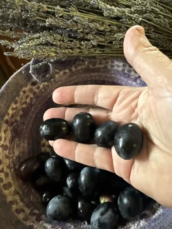 Black Olives Organic Large Sevillano for Sale (Raw, Fresh Olives, Unbrined, Unpasteurized, Regeneratively Grown)