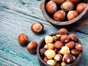 Fresh Hazelnuts Raw moist organically regeneratively grown