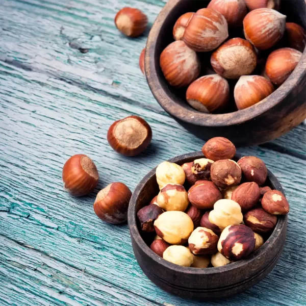 Fresh Hazelnuts Raw moist organically regeneratively grown