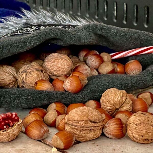 Nuts in Shell Raw Organic California Grown