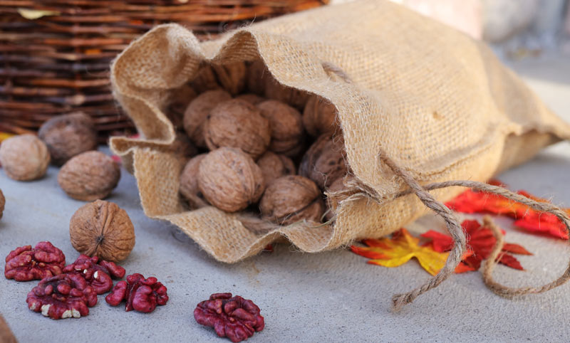 One Pound Regenerative Red Livermore Walnuts
