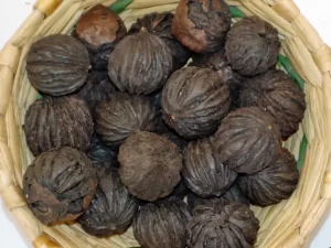 Dried Black Walnuts in Shell