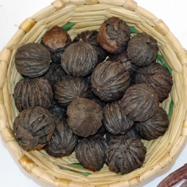 Dried Black Walnuts in Shell