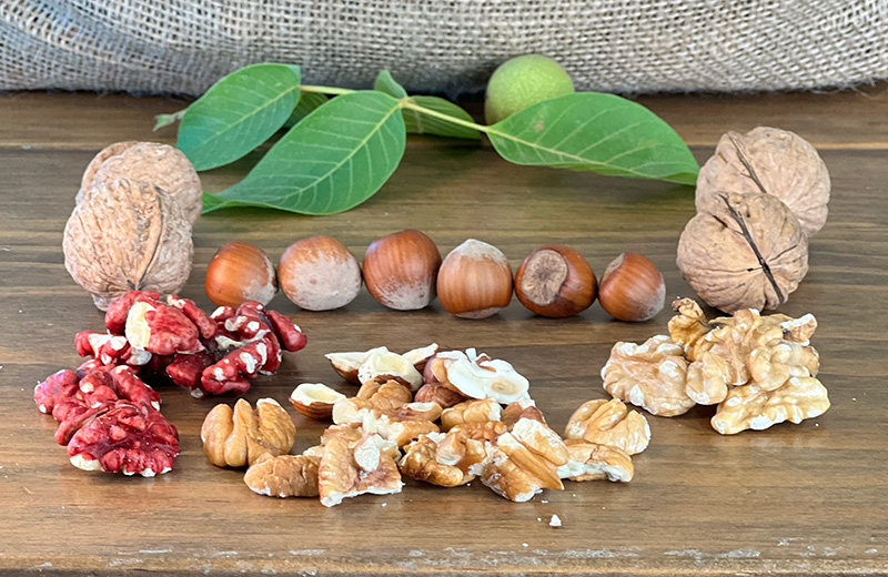 Organic Bulk Nuts Wholesale, Buy cheapest bulk mixed nuts