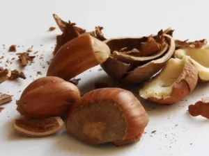 natural skin scrub Hazelnut shells