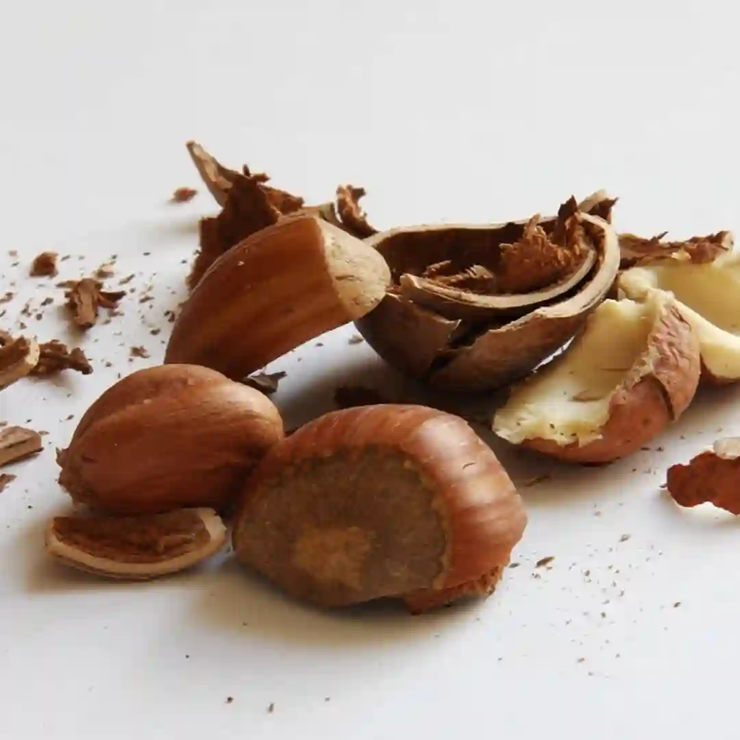 natural skin scrub Hazelnut shells
