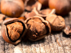 Hazelnuts in Shell that are certified organic California Grown. They are also grown utilizing regenerative practices. Also referred to as filberts