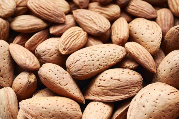 Organic Nonpareil Almonds in Shell, California, Regenerative, Bulk , nuts in shell