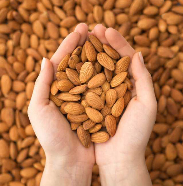 Organic Nonpareil Shelled Raw Almonds, California, Regenerative, bulk nuts