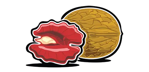 Organic Red Walnuts Regenerative Handy Farms logo