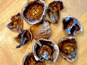 Organic Walnut shells from California Handy Farms