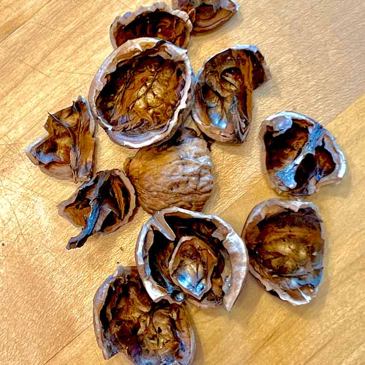 Buy Crushed Walnut shells 25 ounces - Fiberglass Site