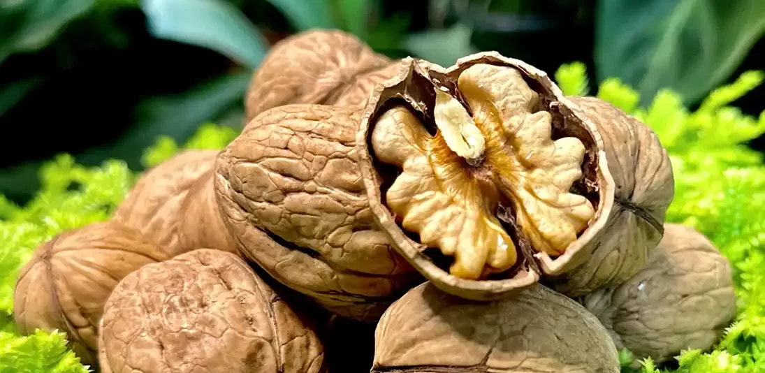 Organic-Walnuts-in-shell