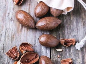 Pecan Nuts In Shell, Organic Pecans, Raw, Regenerative, California