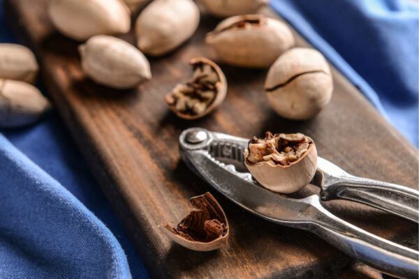 Pecan Nuts In Shell, Organic Pecans, Raw, Regenerative, California