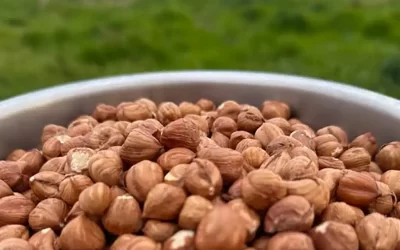 Do Hazelnuts Need to be Organic?