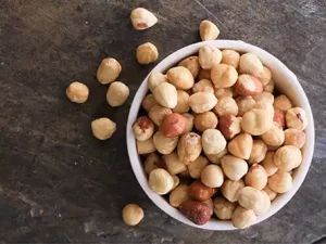 Sprouted Hazelnuts Without Salt Water (Raw, Organic, Regeneratively Grown)