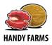 logo Riverside handy-farms-Regenerative-Organic-Farm Handy Farms Regenerative Organic Farm